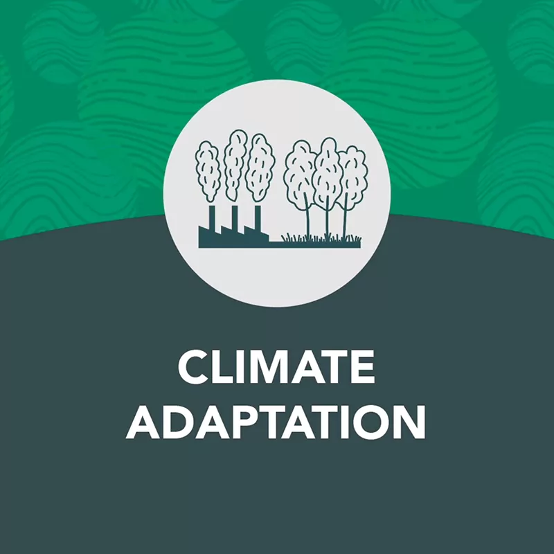 Climate Friendly Cat Litter