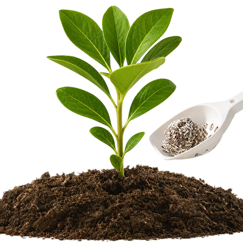 Biodegradable Cat Litter