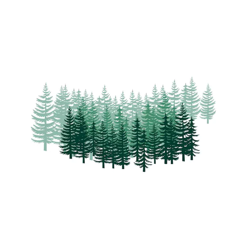 Private Brand Pine Cat Litter